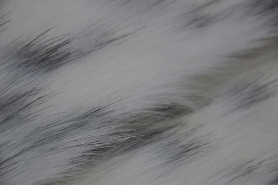 ponto preto em uma tela longa da pele do cabelo do fundo branco, tela longa do luxuoso: A mistura perfeita do conforto e da forma