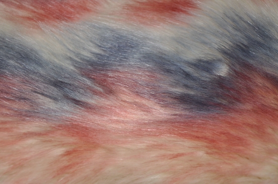 O Fox falsificado longo da tela 150cm da pele do cabelo das cores do inclinação três, fornece o calor e o conforto finais para a decoração da casa do inverno