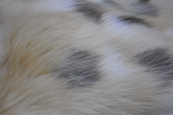 A tela misturada da pele de Fox do falso do jacquard, pele longa da falsificação do cabelo de 150cm, cria projetos originais da decoração e da cortina da casa